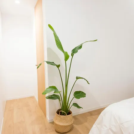 Lägenhet Loft Solpor Do Carril 50 Playa Vilagarcia de Arousa